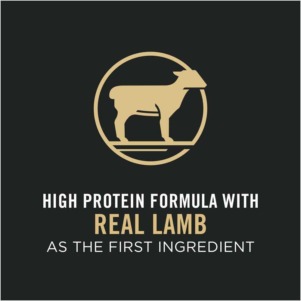Purina Pro Plan Sensitive Skin & Stomach Lamb & Rice Formula Dry Cat Food - Pet Supplies online store