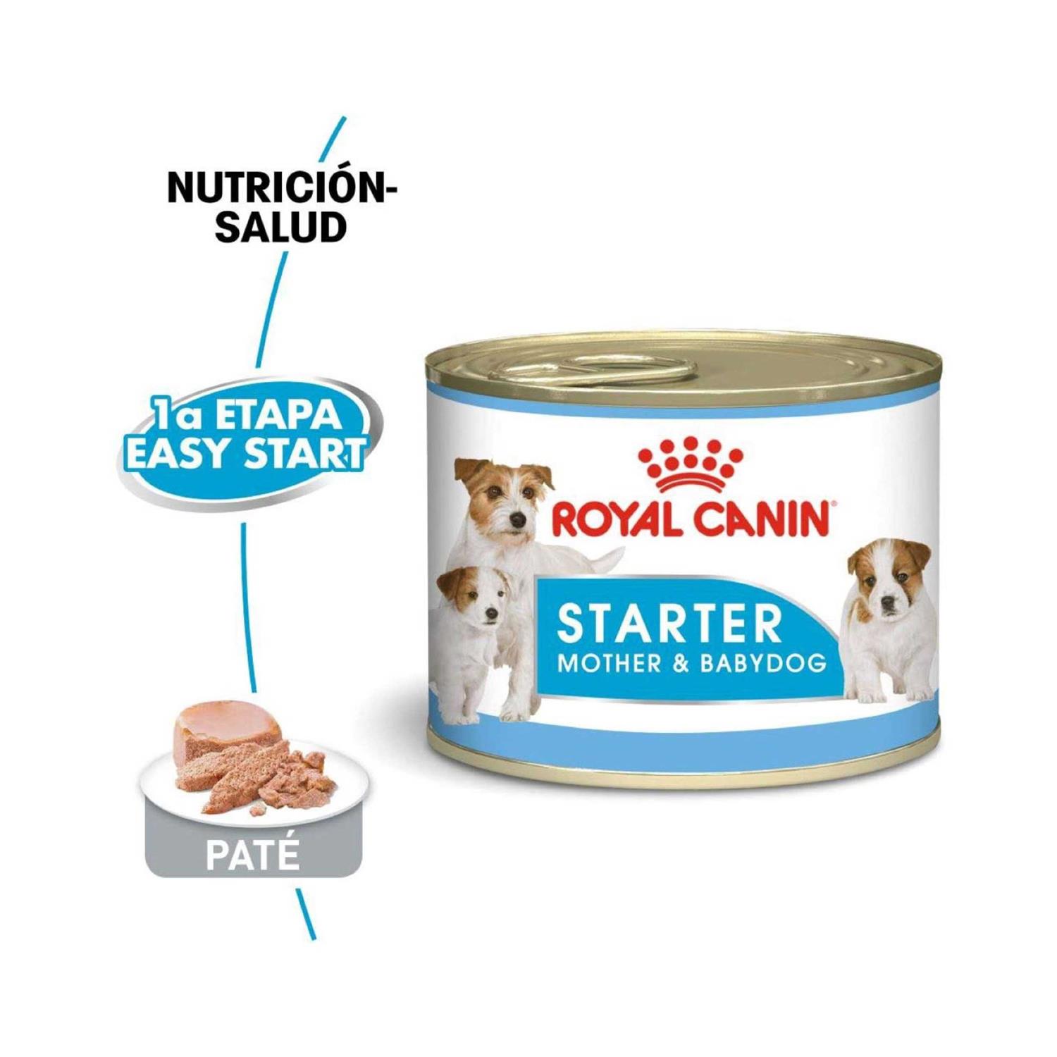 Royal Canin Starter Mousse in Sauce Mother & Babydog Dog Food - Pet Supplies online store