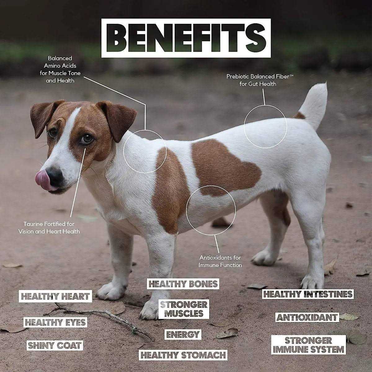 Lucy Pet Products Lucy Pet Formulas for Life Duck - Pet Supplies online store