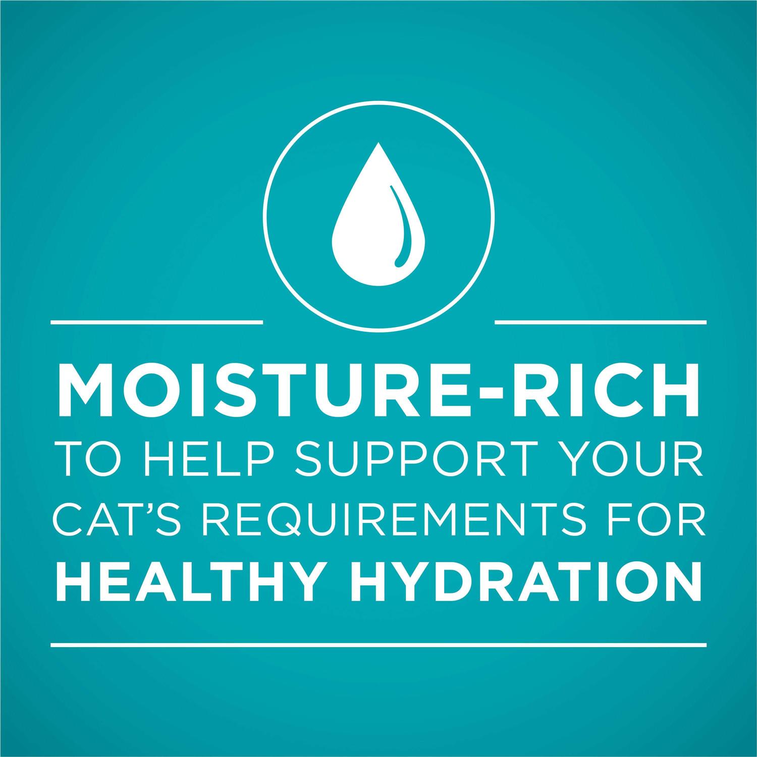 Purina ONE Ideal Weight Wet Cat Food - Pet Supplies online store