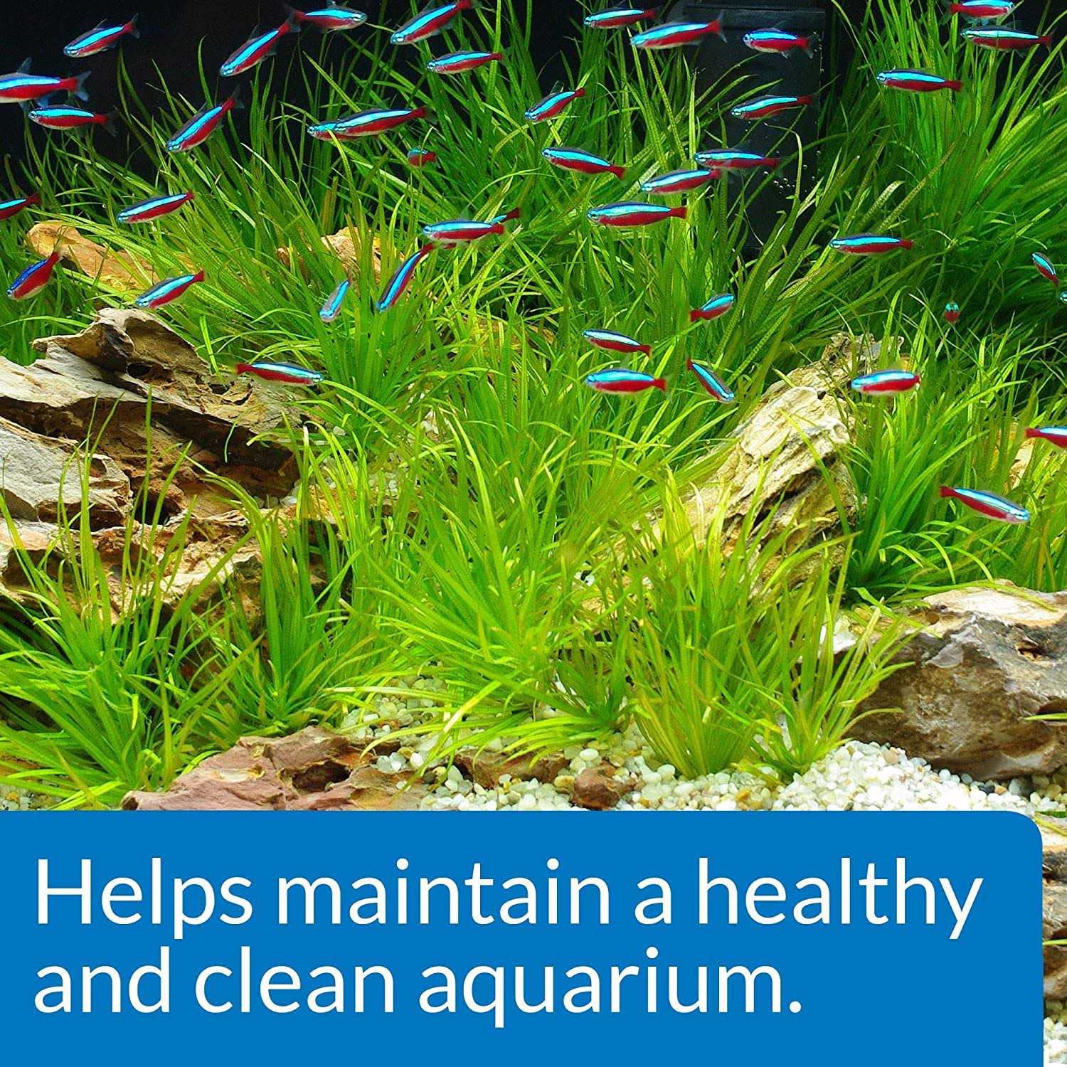 API Aquarium Start Up Pack - Pet Supplies online store