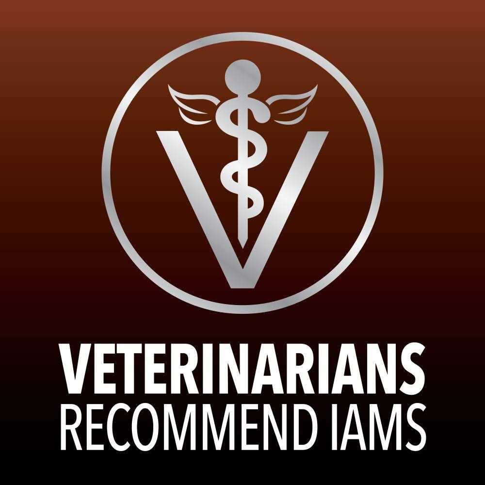 Iams Advanced Health Healthy Digestion Turkey & Chicken Recipe Adult Dry Cat Food - Pet Supplies online store