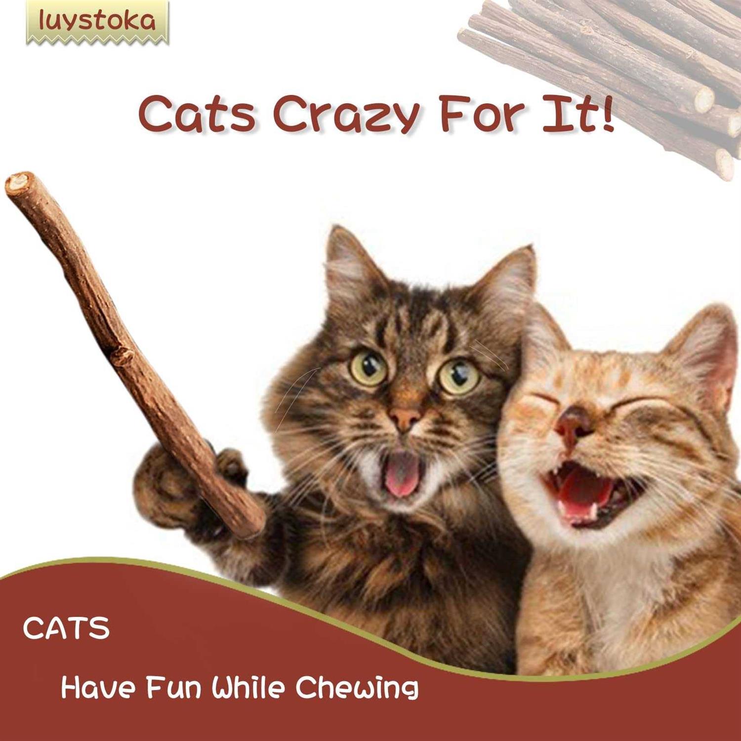 Luystoka 30pcs Kitten Toys Catnip Toys Matatabi Silvervine Sticks Kitty Chew Toys Wooden Stick Kitten Teething Toys Molar Suitable for Cats of All - Pet Supplies online store