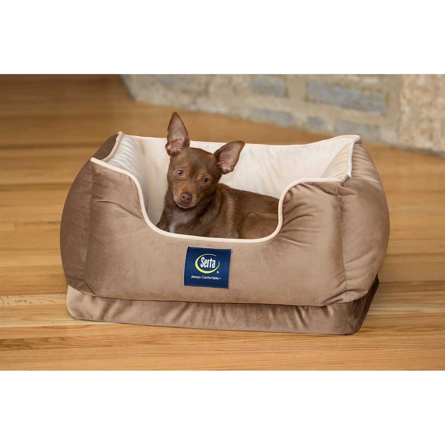 Serta Cuddler Pet Bed - Pet Supplies online store