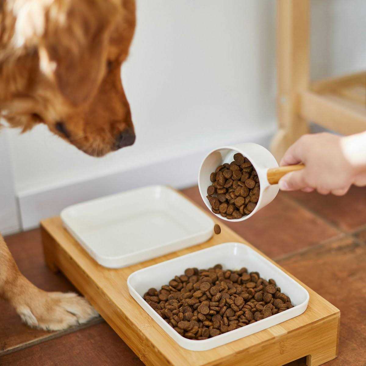 Frisco Melamine Dog & Cat Food Scoop with Bamboo Handle - Pet Supplies online store