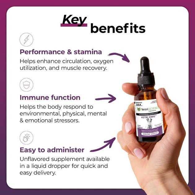 Vetri-DMG Liquid - Pet Supplies online store