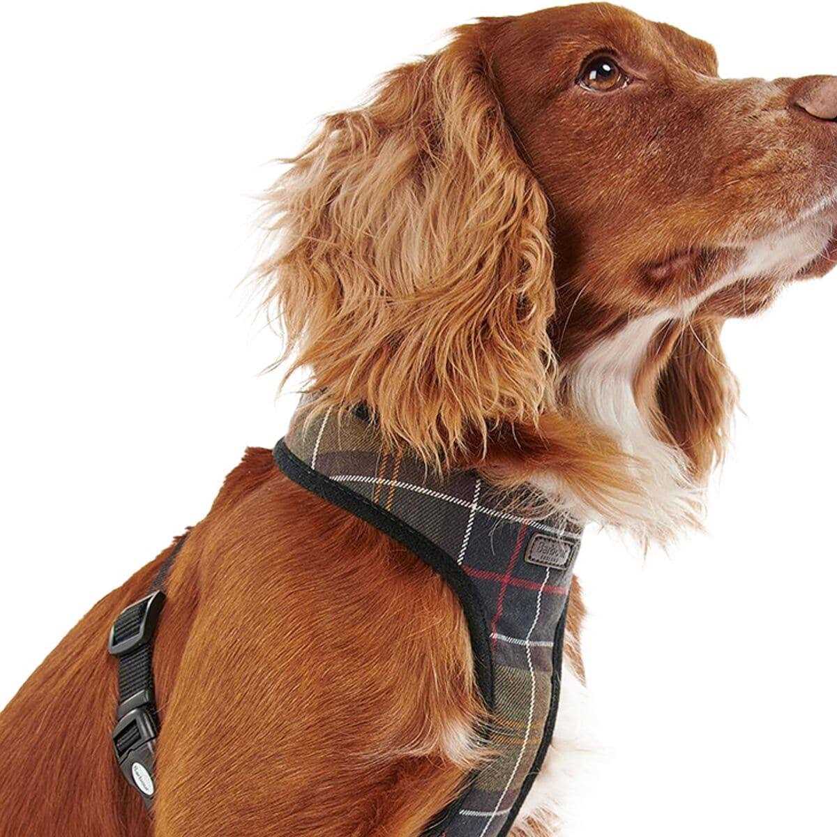 Barbour Tartan Dog Harness - Pet Supplies online store
