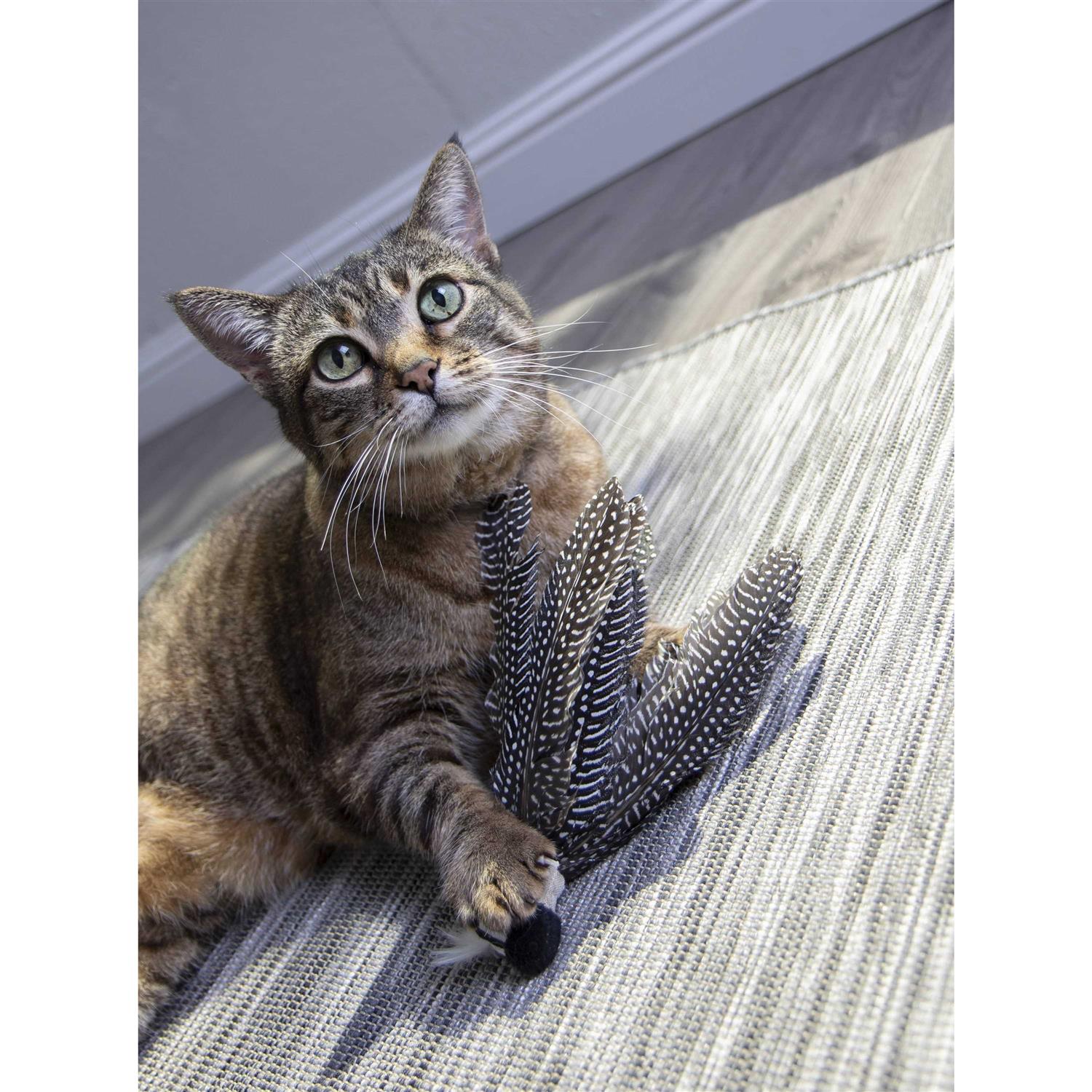 Petlinks HappyNip Zippy Zebra Catnip Cat Toy - Pet Supplies online store