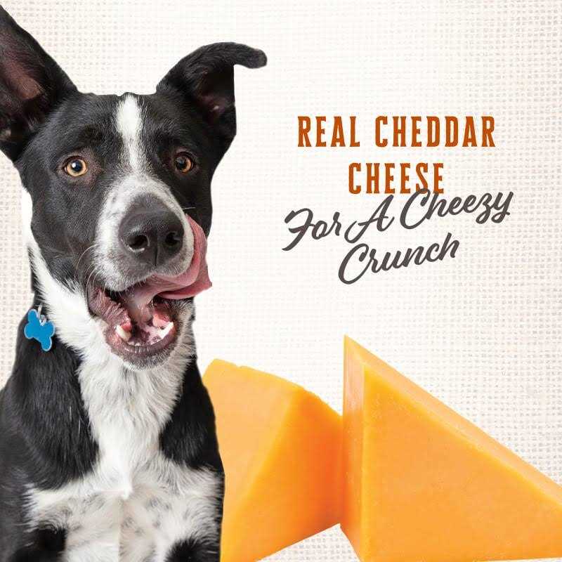 Wholesomes Gourmet Rewards Cheezy Bites Dog Treats - Pet Supplies online store