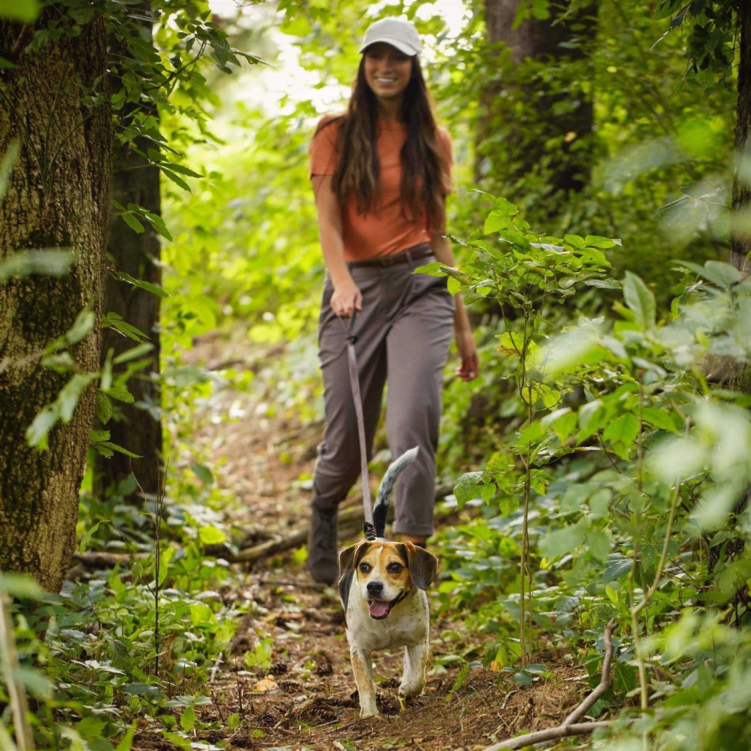 Nature's Recipe Grain Free Chicken Sweet Potato & Pumpkin Small Breed Dry Dog Food - Pet Supplies online store