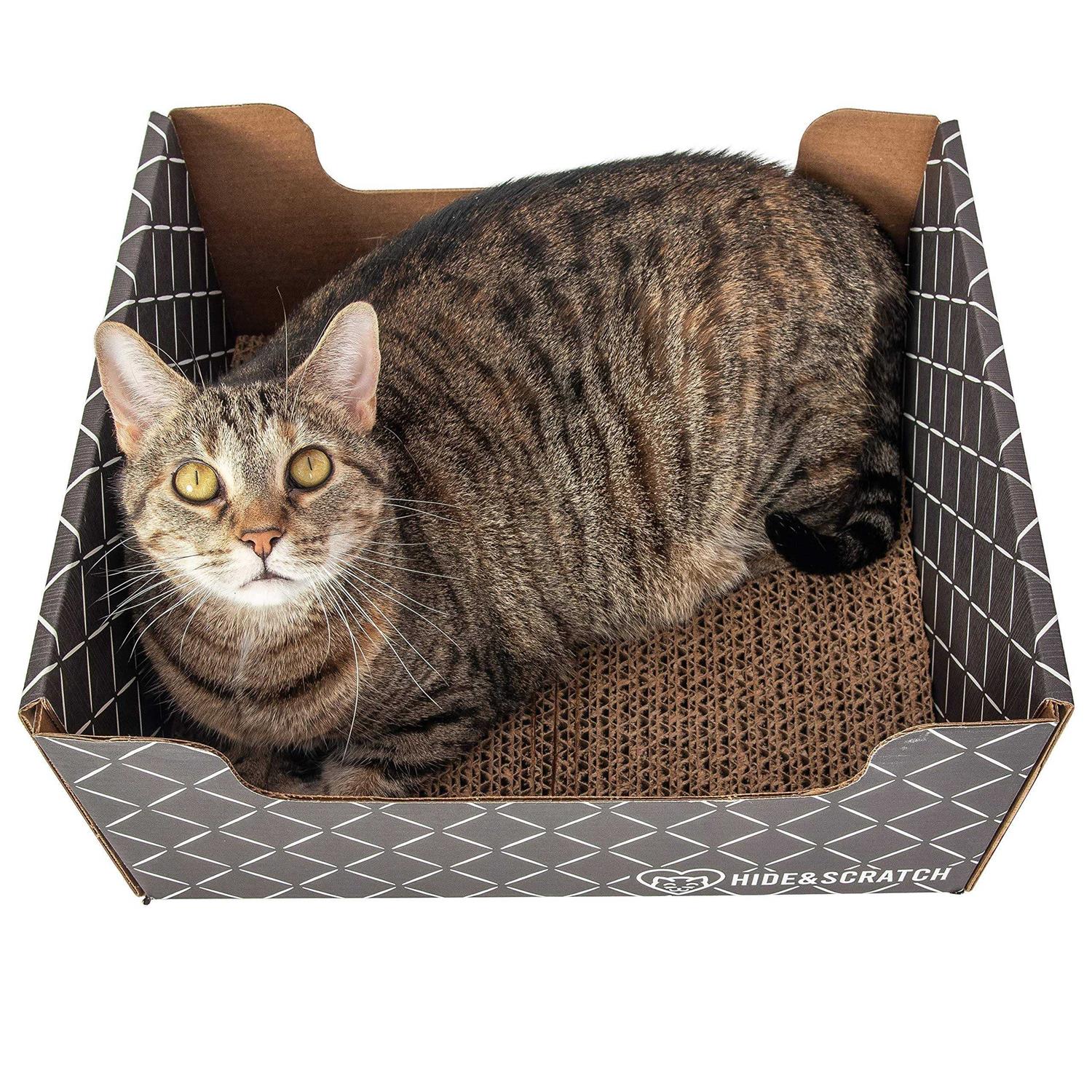 Hide & Scratch Extra-Large Heavy Duty Cardboard Cat Scratcher and Lounger Box with Refillable Scratch Pad - Pet Supplies online store