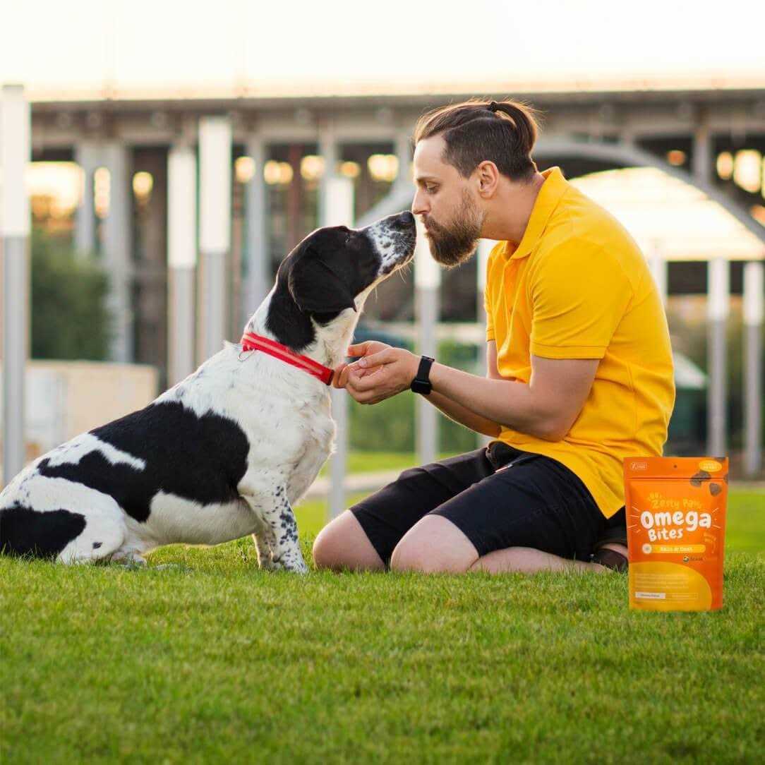 Zesty Paws Skin & Coat Omega Bites for Dog Chicken Flavor - Pet Supplies online store