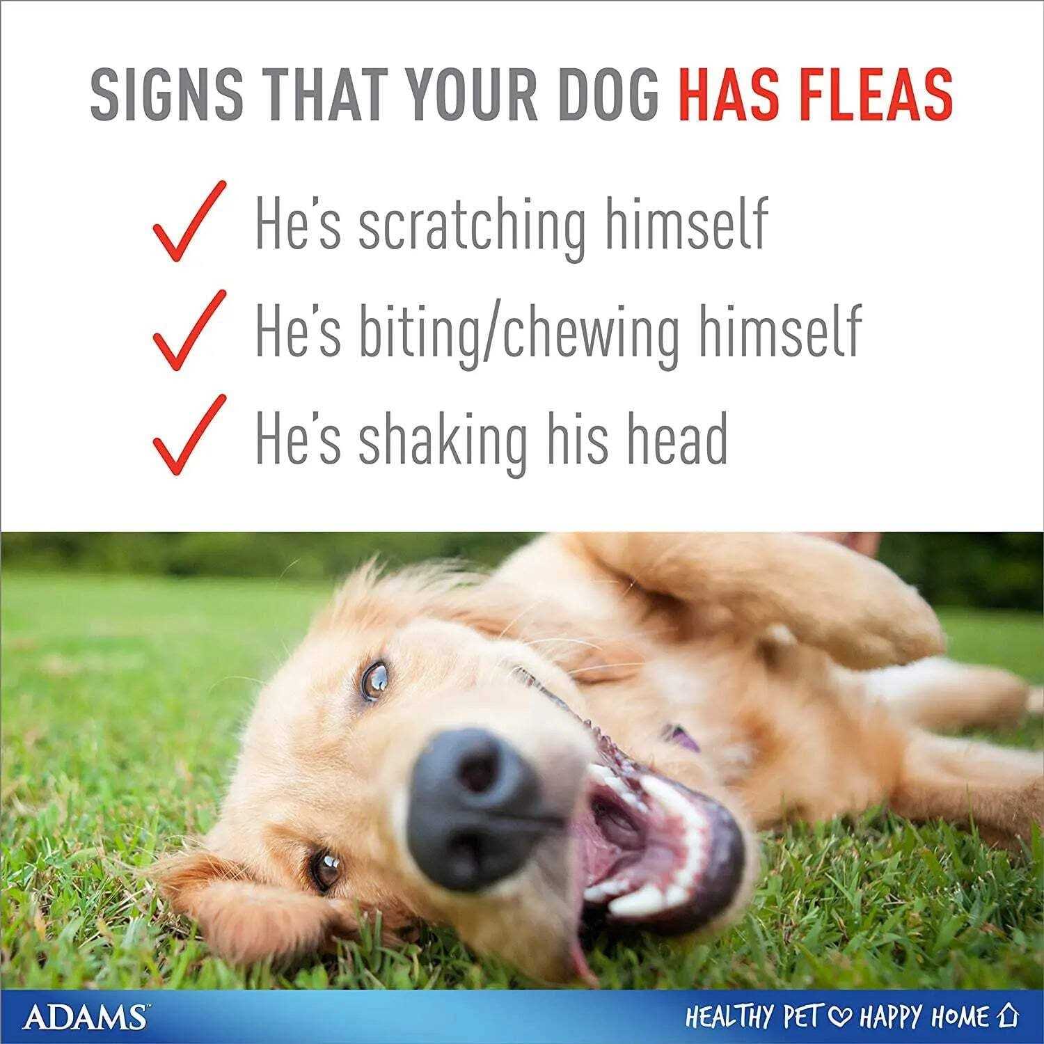 Adams Flea & Tick Plus Collar for Dogs - Pet Supplies online store