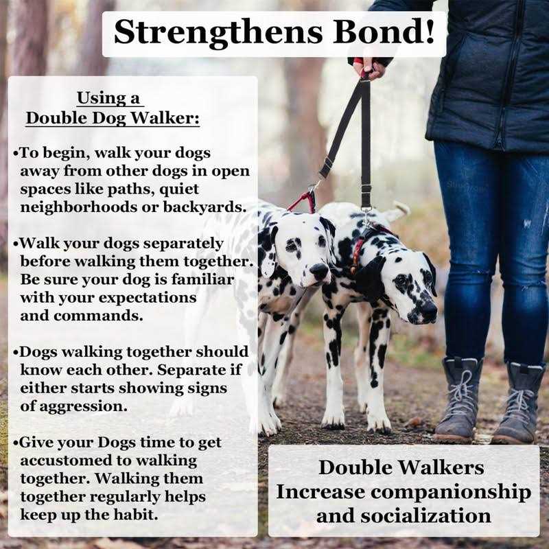 SunGrow Double Dog Walker Leash, 16-24 Inches in Length, Head Tilt Adjustable, Tin Alloy Snaps, Suitable for Dogs and Puppies - Pet Supplies online store