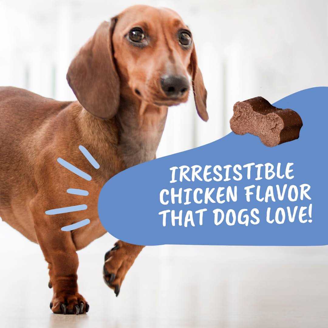 Under the Weather IVDD Dog Supplement, Disc and Spine Relief for Dogs - Pet Supplies online store