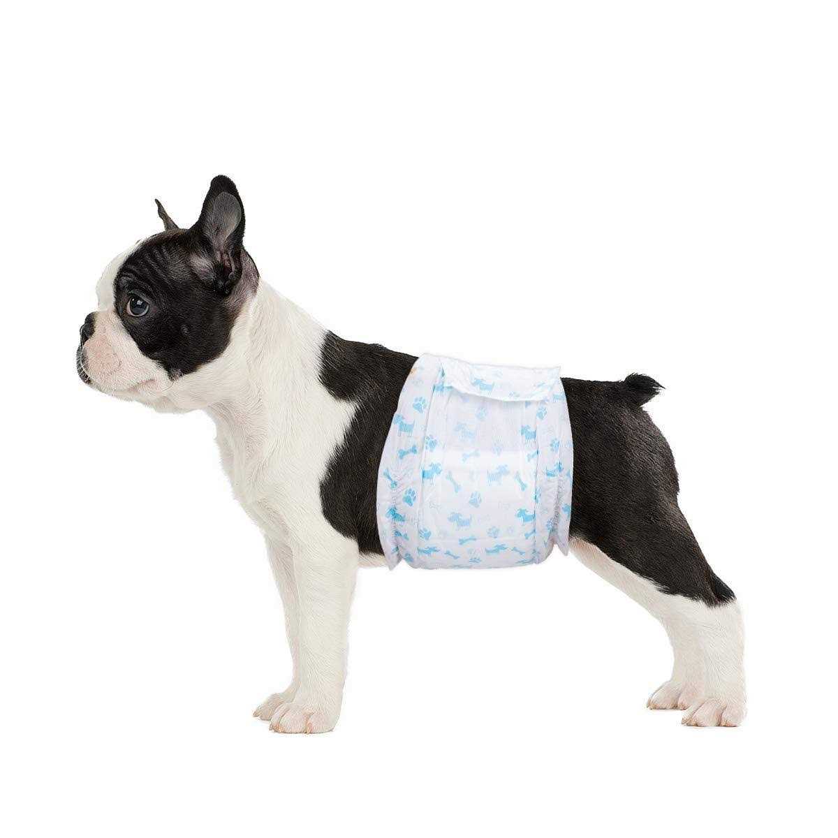Flying Paws Male Dog Diapers Absorbent Male Dog Wraps Belly Bands for Male Dogs with Leak Protection, Excitable Urination, Incontinence, or Male - Pet Supplies online store