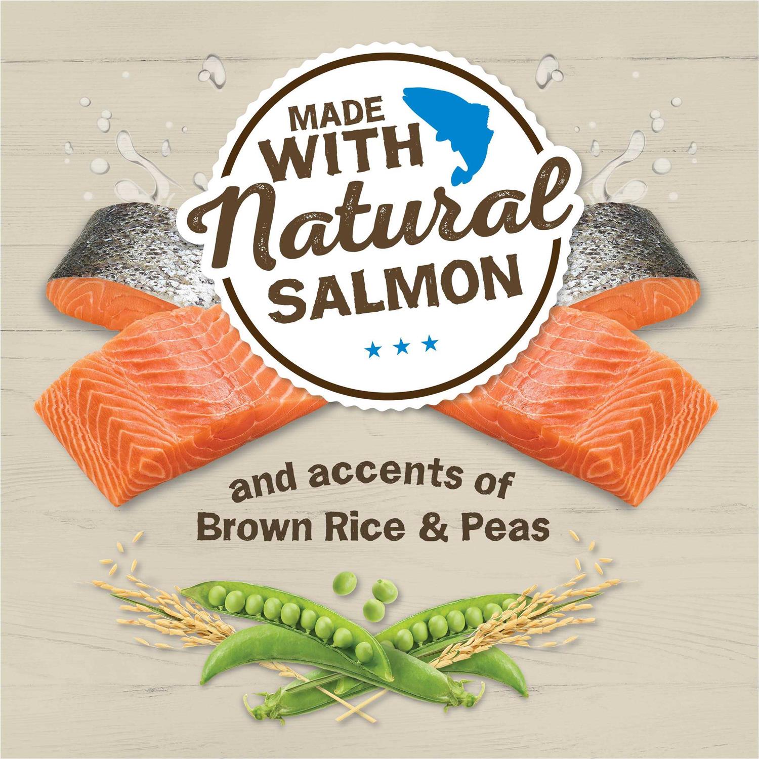 Friskies Ocean Favorites Dry Cat Food With Natural Salmon - Pet Supplies online store