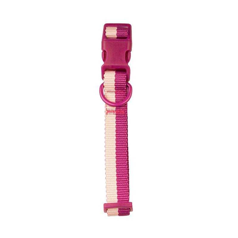 Sonoma Goods For Life Colorblock Pet Collar - Pet Supplies online store