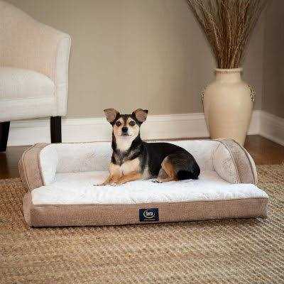 Serta XL Luxury Sleeper Sofa Pet Bed - Pet Supplies online store