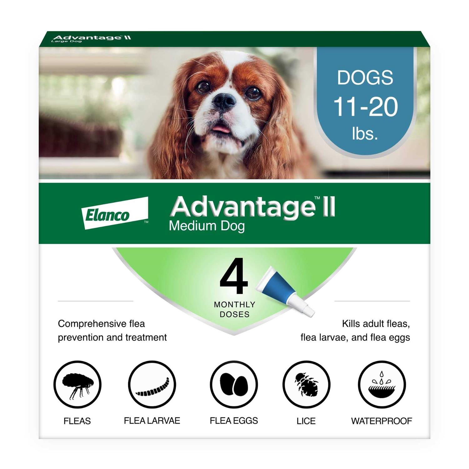Advantage II Medium Dog - Pet Supplies online store