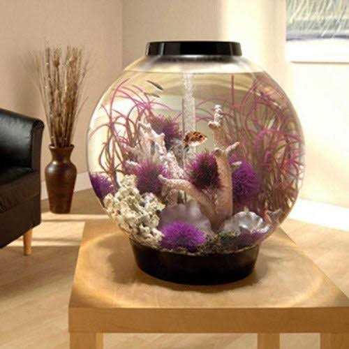 biOrb Classic 60 Aquarium with LED - Pet Supplies online store