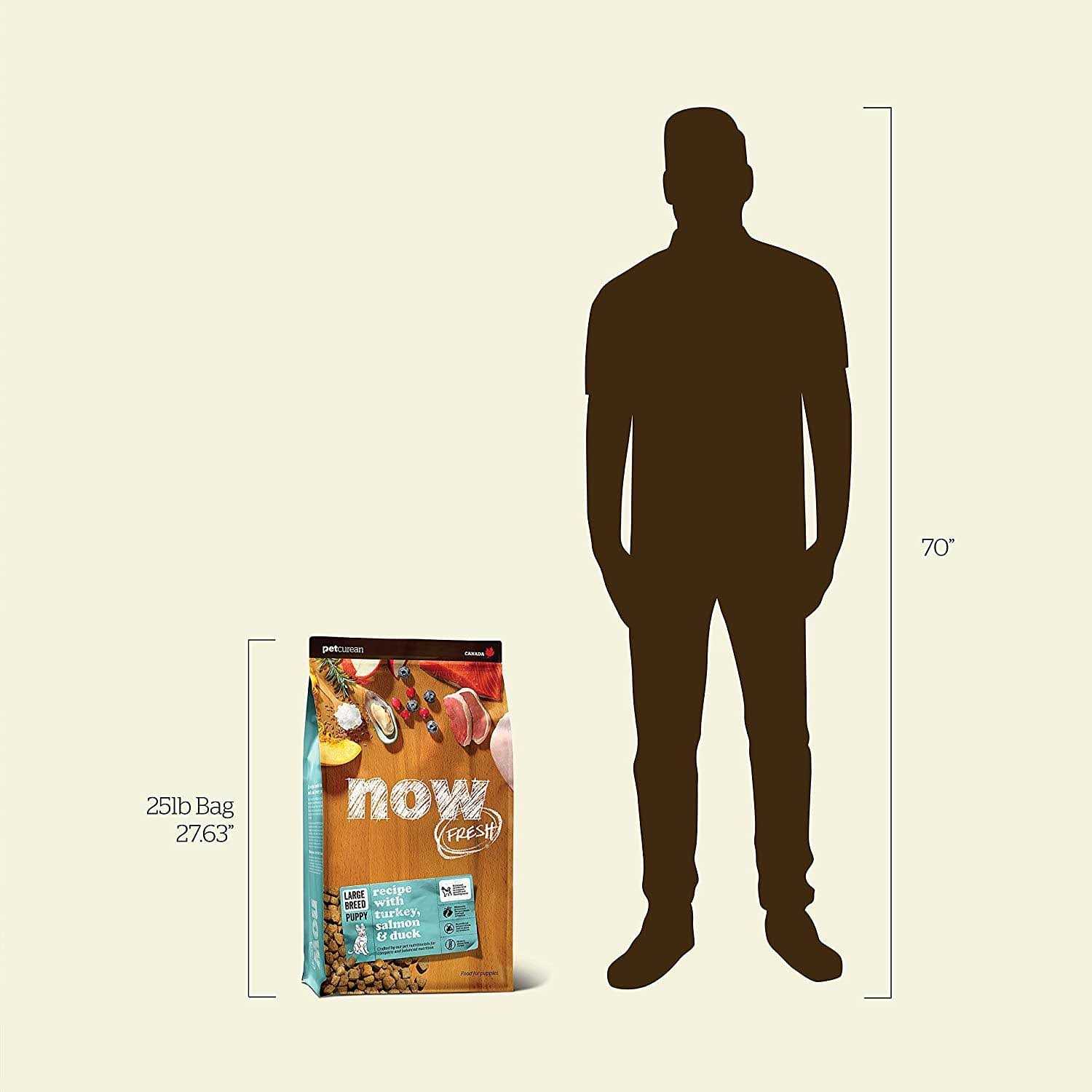 Now Fresh Grain-Free Puppy Recipe Dry Dog Food - Pet Supplies online store