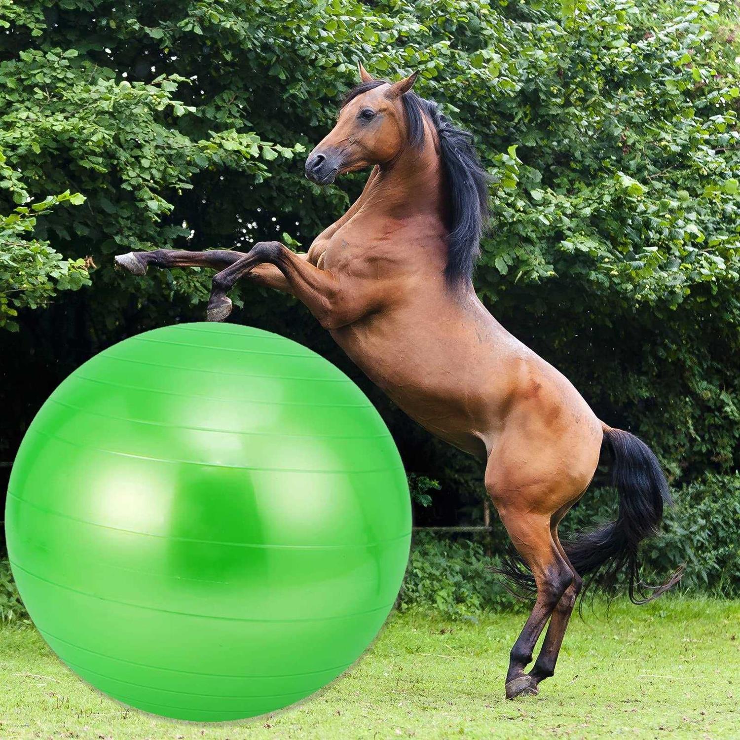 capuca Large Horse Balls for Play 30 Inch Anti-Burst Mega Herding Ball Giant Horse for Dogs Goats Horses to Play with Pump - Pet Supplies online store