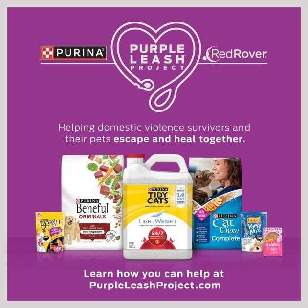 Purina Friskies Natural Grain Free Senior Broth Wet Cat Food Complement Lil' Soups Skipjack Tuna - Pet Supplies online store