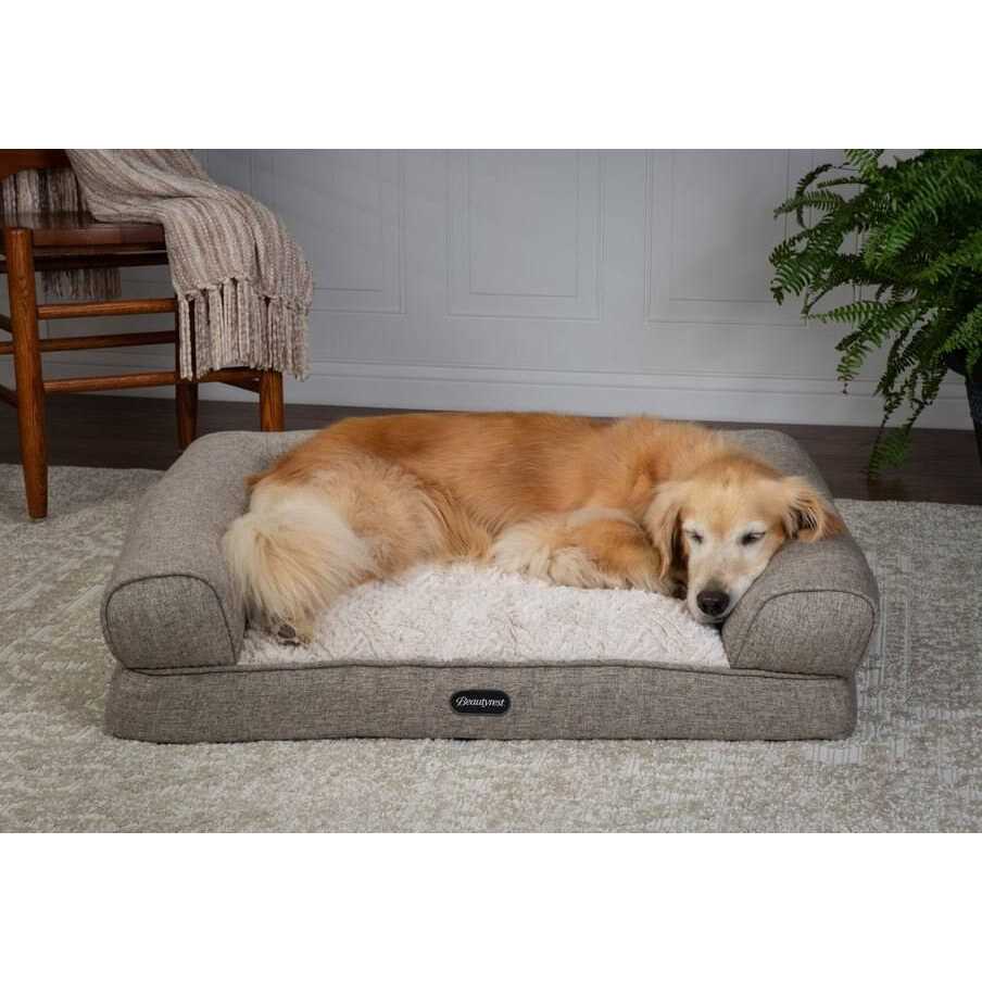 Beautyrest Luxe Lounger Cat & Dog Bed - Pet Supplies online store