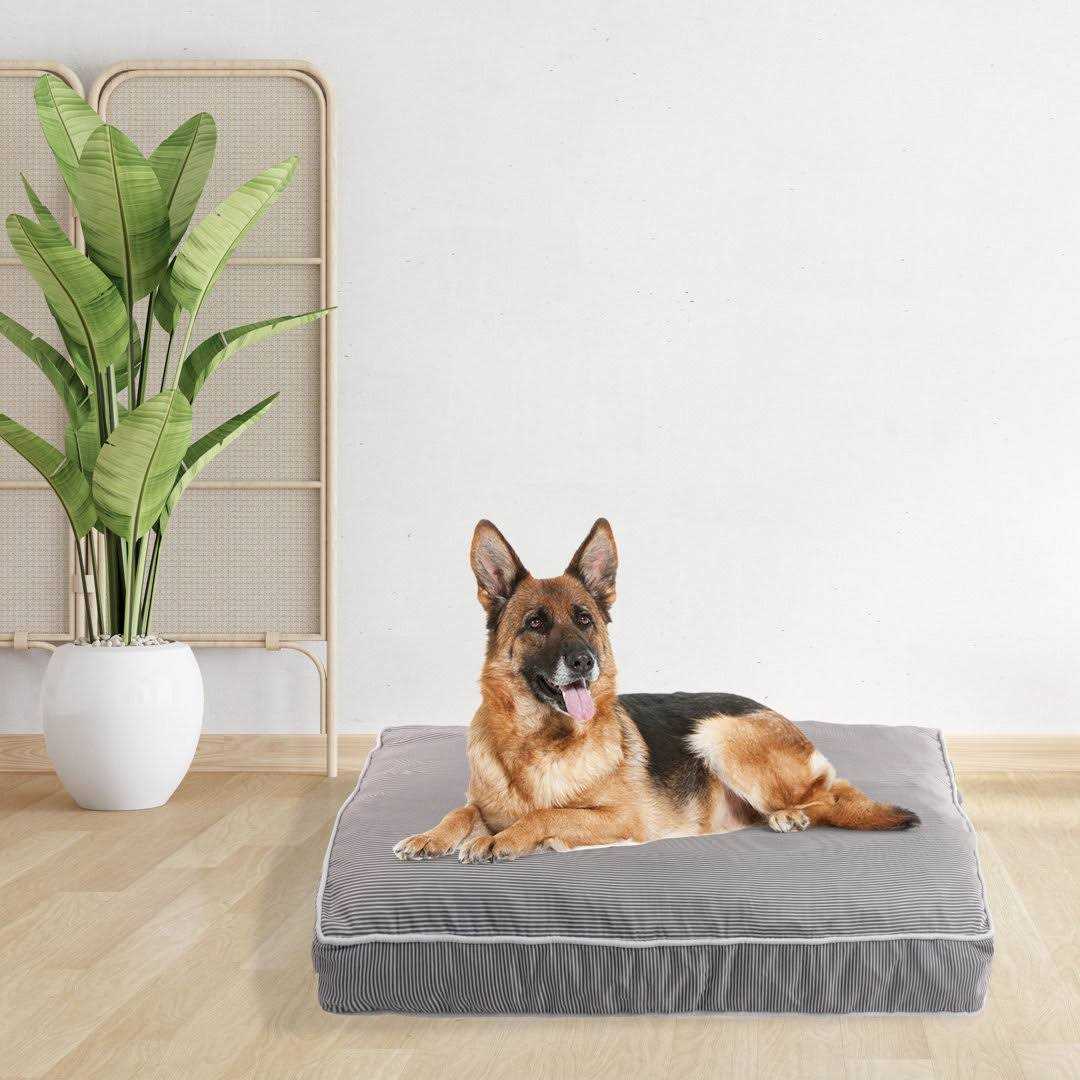 Rae Dunn Orthopedic Pet Bed - Pet Supplies online store