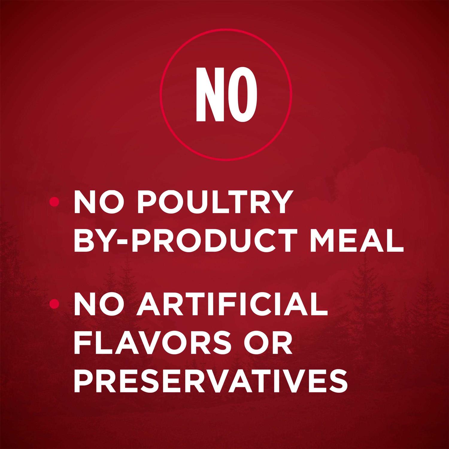 Purina ONE Grain Free Natural Dry Dog Food - Pet Supplies online store