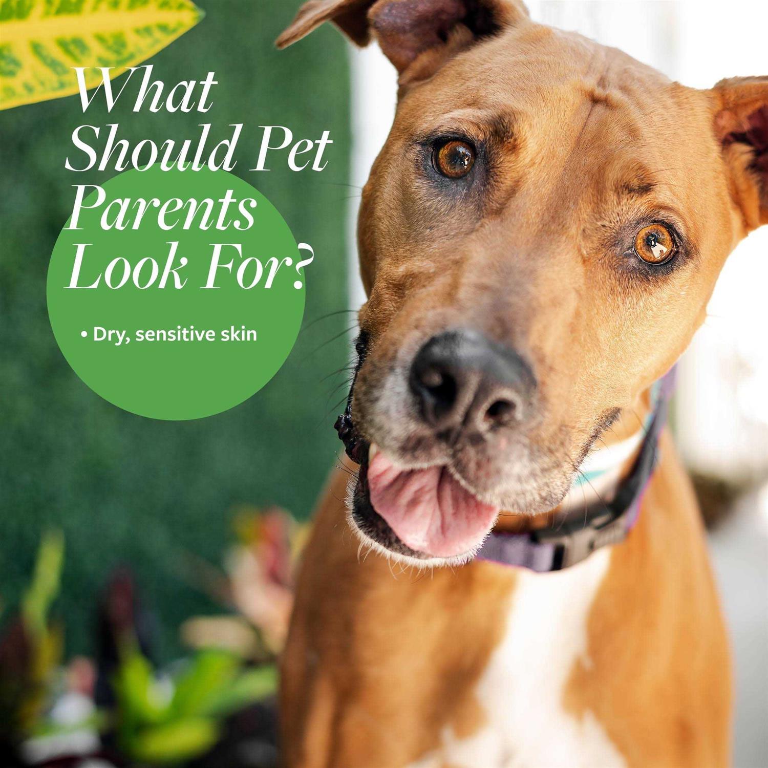 Veterinary Formula Clinical Care Hypoallergenic Shampoo - Pet Supplies online store