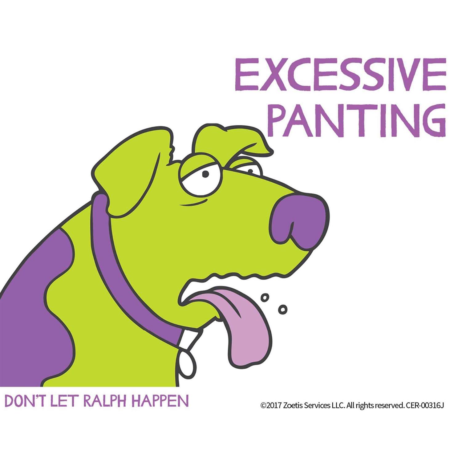 Cerenia Tablets - Pet Supplies online store