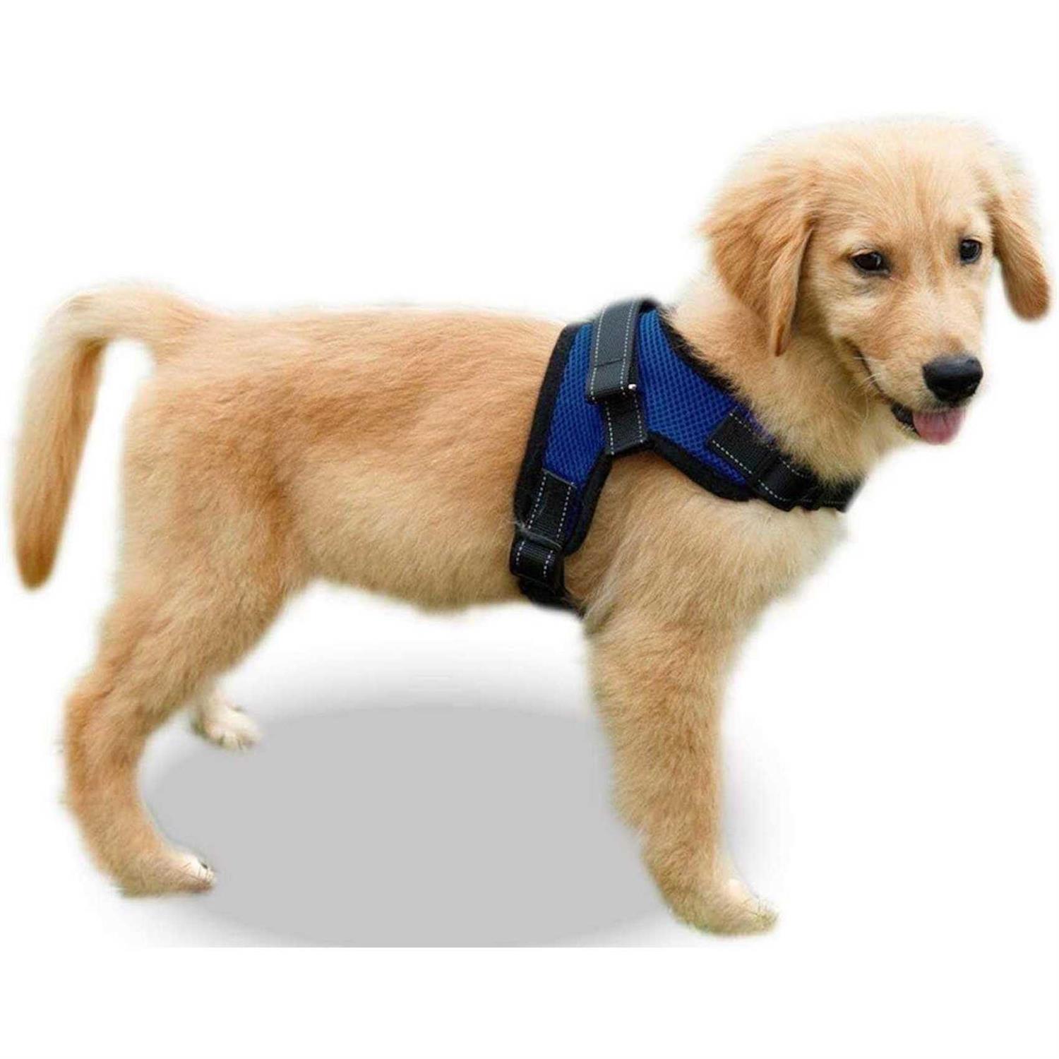 Copatchy No Pull Adjustable Reflective Dog Harness with Handle - Pet Supplies online store