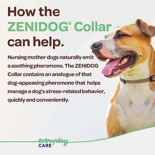 Zenidog Long-acting Collar Medium/large - Pet Supplies online store
