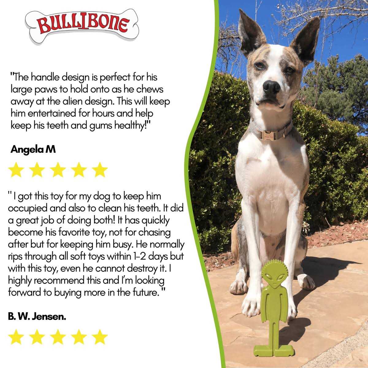 Bullibone Small Alien Bone Dog Chew Toy for Small Dogs With Easy Hold Grips - Pet Supplies online store