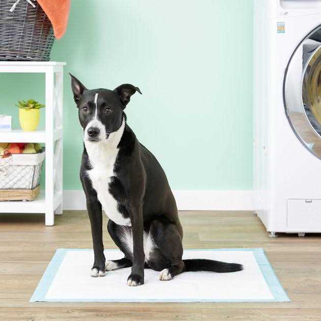 Simple Solution Extra Large Training Pads - Pet Supplies online store