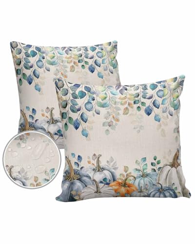 Outdoor Pillow Covers Waterproof, Blue White Pumpkins Throw Pillowcase Decorative Cover, Thanksgiving Eucalyptus Leaves Wooden Garden Cushion Case Set of 2 for Sofa Couch Tent Patio, 16