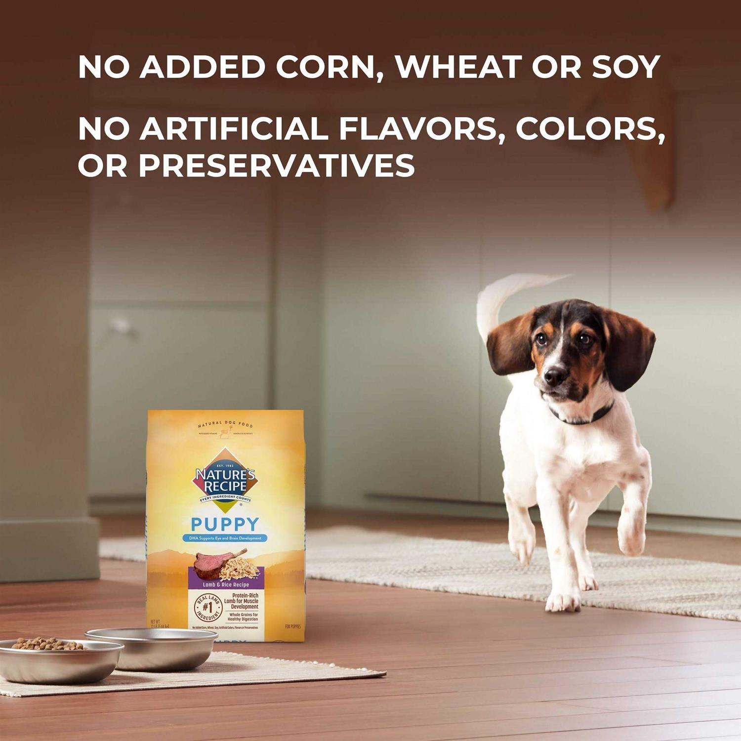 Natures Recipe Puppy Dry Dog Food Lamb & Rice - Pet Supplies online store