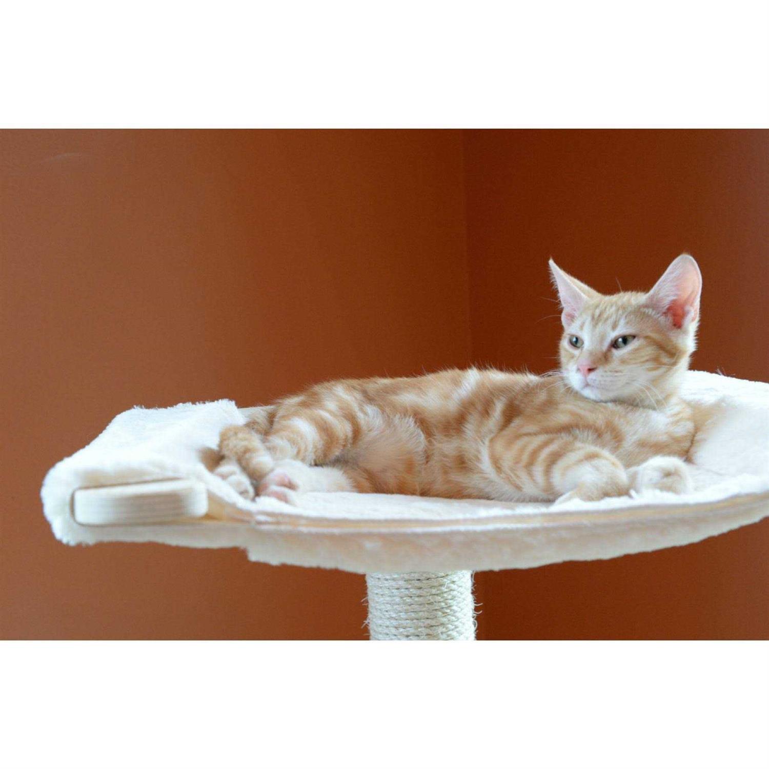 Armarkat Real Wood Premium Scots Pine 54-Inch Cat Tree with Three Levels - Pet Supplies online store