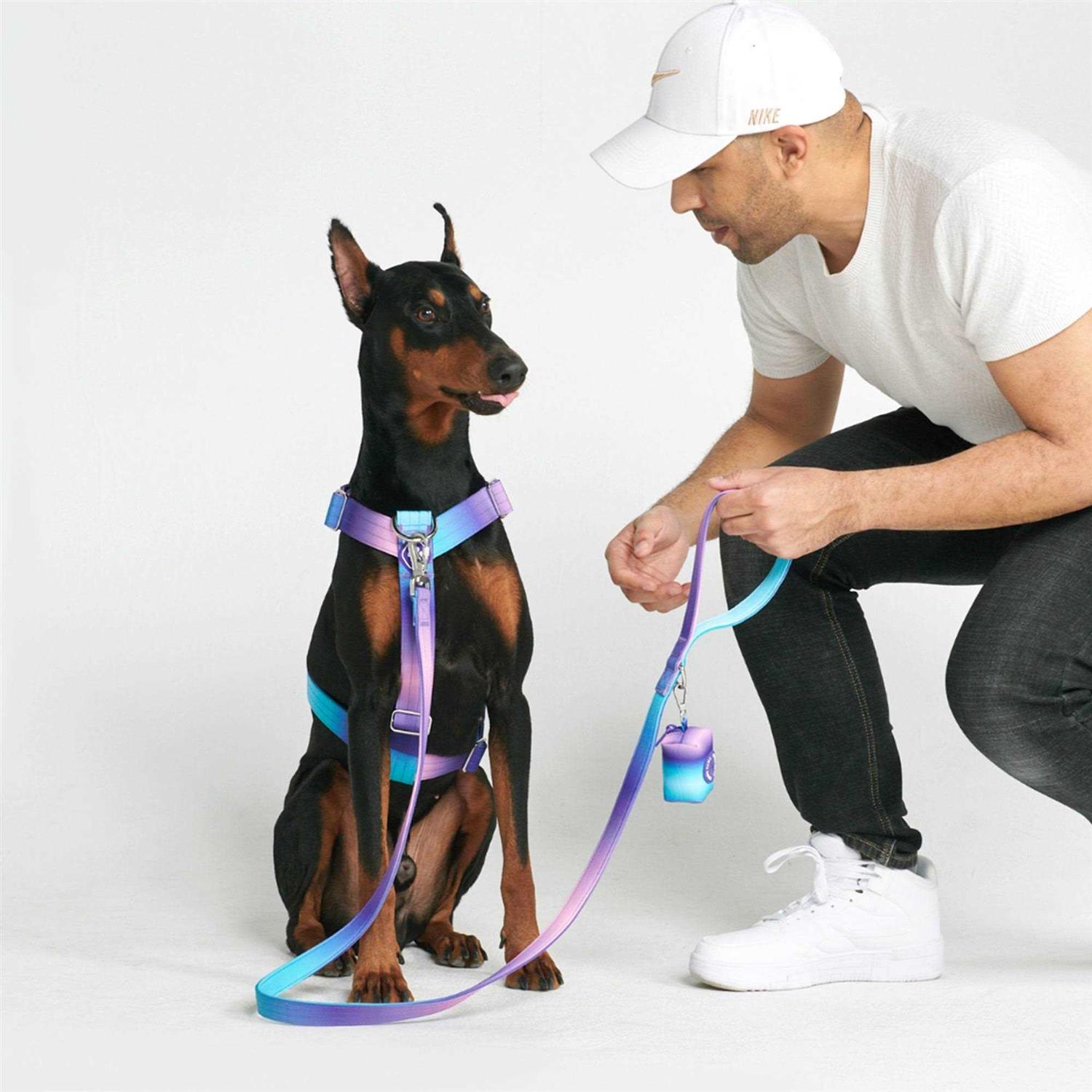 Spark Paws No-Pull Dog Harness Designed for Safety and Control - Pet Supplies online store