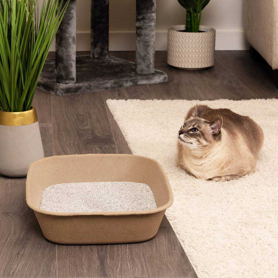 Kitty Sift Disposable Sifting Litter Box - Pet Supplies online store