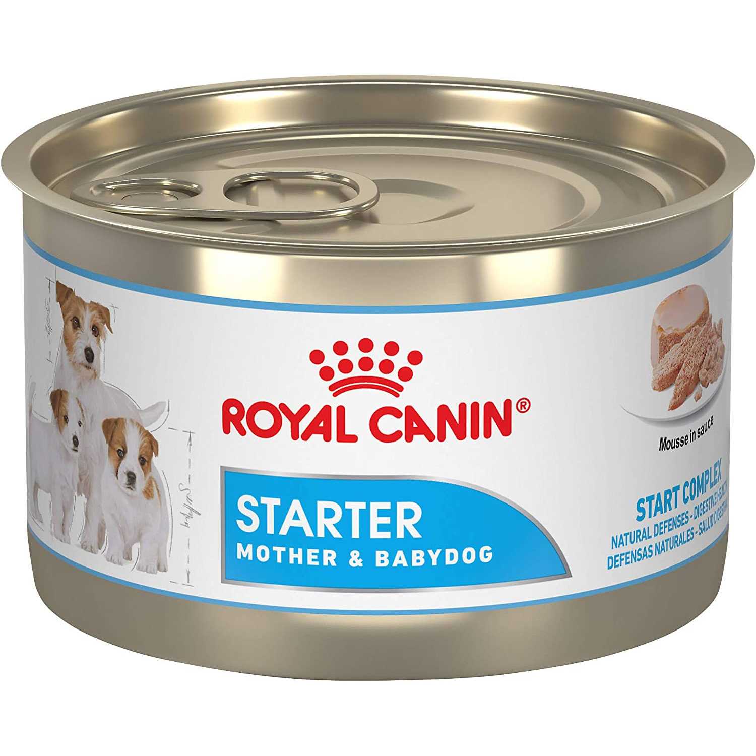 Royal Canin Starter Mousse in Sauce Mother & Babydog Dog Food - Pet Supplies online store