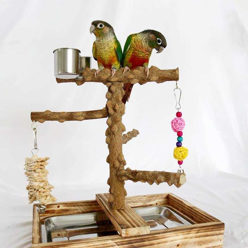 Bird Perch Platform Stand,Wood Perch Bird Platform Parrot Stand Playground Cage Accessories for Small Anminals Rat Hamster Gerbil Rat Mouse Lovebird - Pet Supplies online store