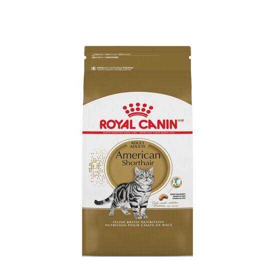 Royal Canin American Shorthair Adult Cat Food - Pet Supplies online store