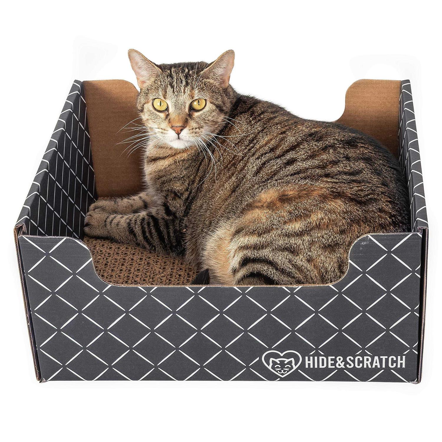 Hide & Scratch Extra-Large Heavy Duty Cardboard Cat Scratcher and Lounger Box with Refillable Scratch Pad - Pet Supplies online store