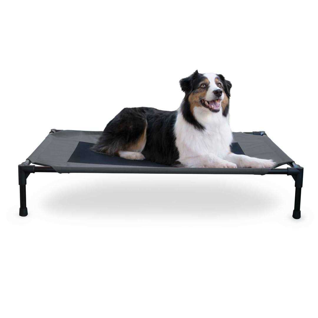 K&H Pet Products Pet Cot Elevated Bed - Pet Supplies online store
