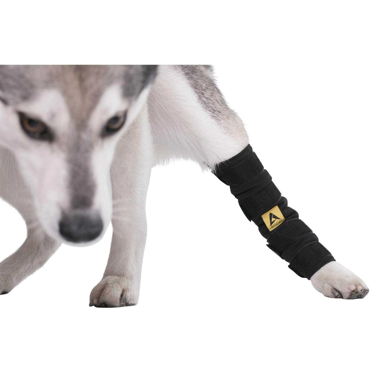 Agon canine Dog Hock Brace Rear Leg Joint Wrap Protects Wounds as They Heal, compression Wrap, Heals and Prevents Injuries and Sprains Helps - Pet Supplies online store