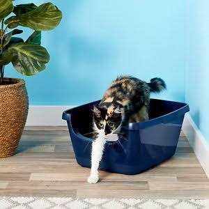 Frisco High Sided Cat Litter Box - Pet Supplies online store
