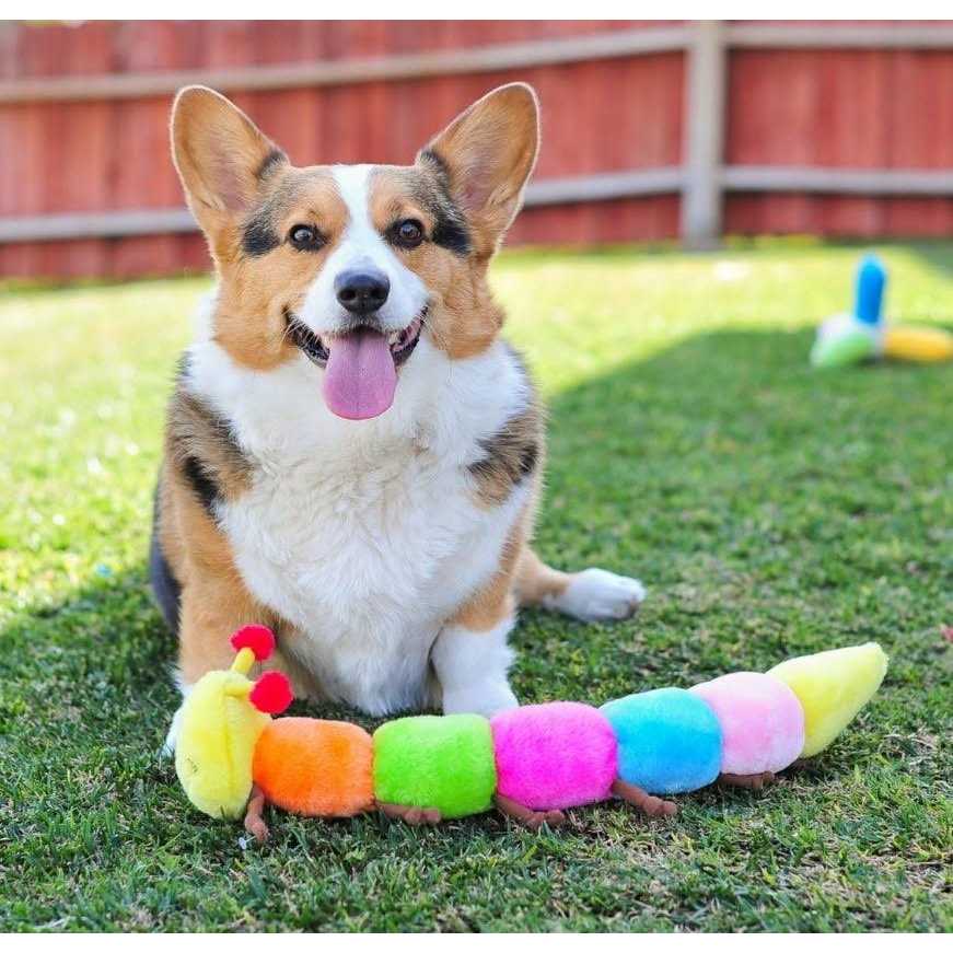 ZippyPaws Caterpillar Dog Toy - Pet Supplies online store